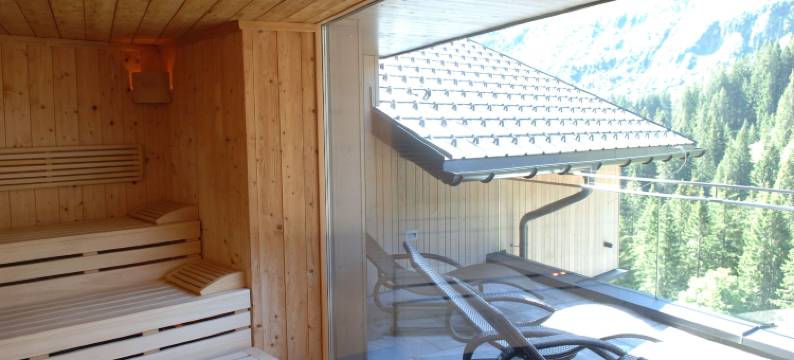 达米尔斯高山度假村(Aparthotel Alpinresort Damüls)图片