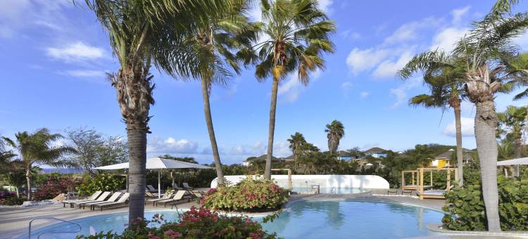 Chogogo潜水和海滩度假村库拉索(Chogogo Dive & Beach Resort Curacao)图片