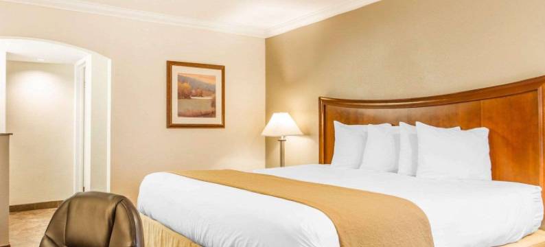 萨克拉门托会议中心凯艺酒店(Quality Inn Sacramento Convention Center)图片