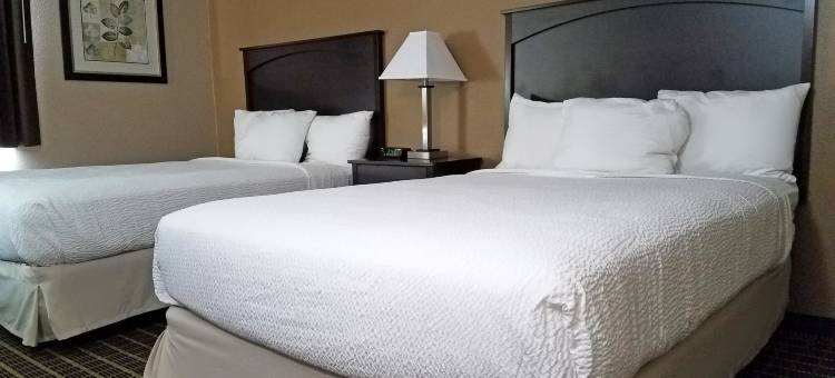 俾斯麦美洲最佳价值套房酒店(Americas Best Value Inn and Suites Bismarck)图片