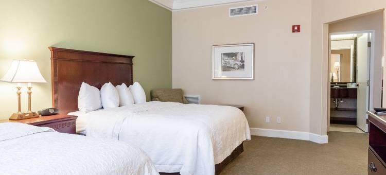 伯明翰市中心塔特怀勒欢朋套房酒店(Hampton Inn & Suites Birmingham-Downtown-Tutwiler)图片