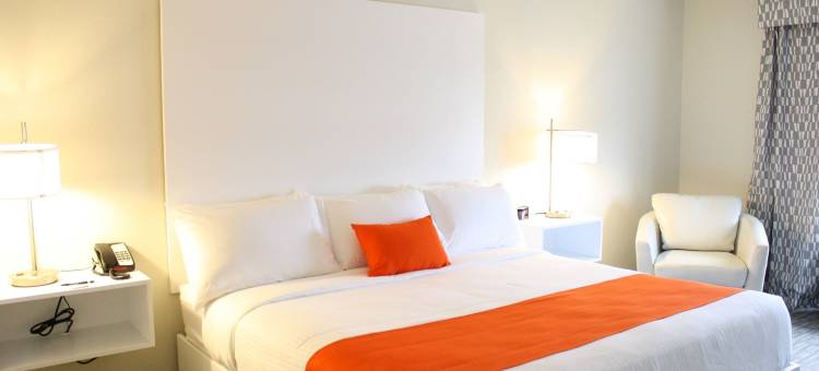 美泉宫旅店(Schoenbrunn Inn)图片