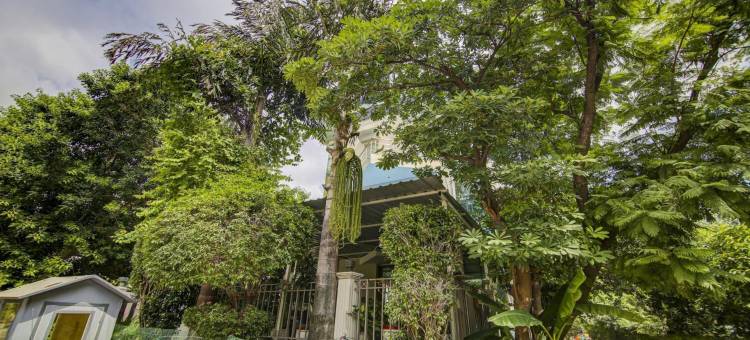 Treebo商场景观，DLF第二阶段(Treebo Mall View, DLF Phase II)图片