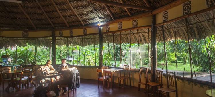 棉花树旅馆(Cotton Tree Lodge)图片