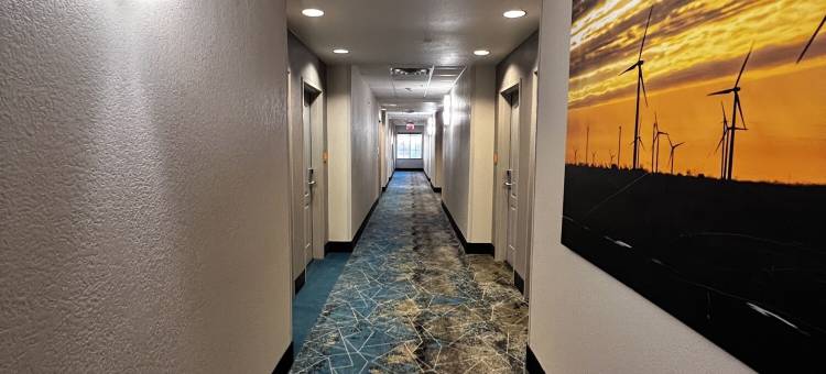 大斯普林拉昆塔温德姆套房酒店(La Quinta Inn & Suites by Wyndham Big Spring)图片