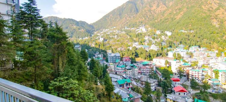 白水旅馆(White Water Inn Mcleodganj)图片