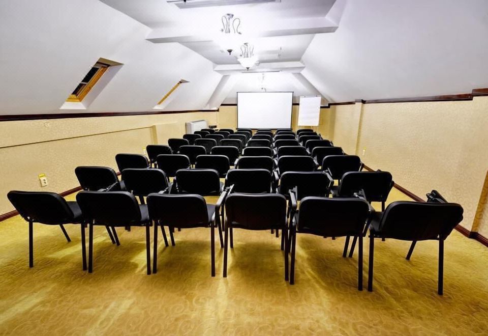 Hotel Carol Hotel Overview