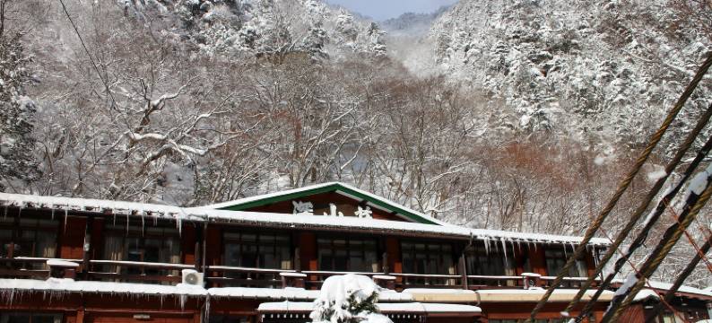 深山庄旅馆(Shinzanso)图片