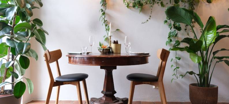 伊达拉花园(Idala Gård)图片