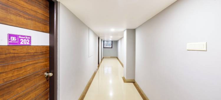 Treebo D Grand图片