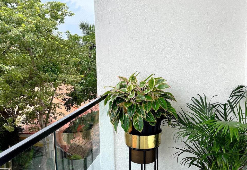 Rio Royale Hotel Overview