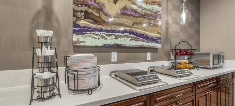 普勒斯会展中心贝斯特韦斯特优质酒店(Best Western Plus Hotel at the Convention Center)图片