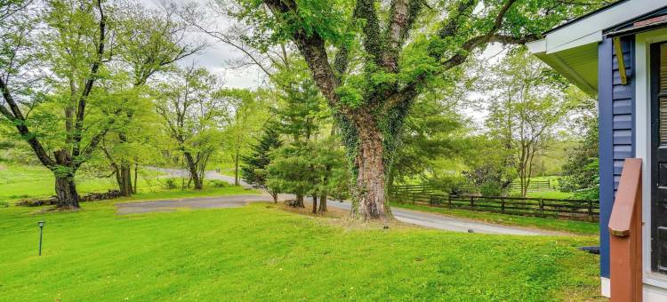 远足、品酒和探索：迷人的沃特福德小屋！(Hike, Sip and Explore Charming Waterford Cottage!)图片