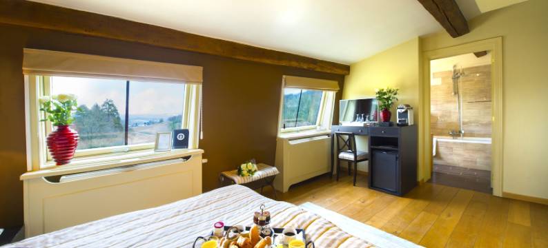 贝尔梅斯尼尔城堡酒店(Chateau-Hotel de Belmesnil)图片