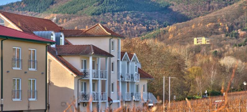 德兹普里斯格特酒店(Das Prinzregent)图片