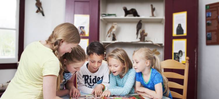 斯托亚凯栋堡青年旅舍(Stayokay Hostel Domburg)图片