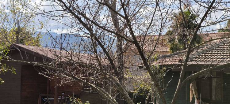 Fire 膳宿公寓(Fire Pansiyon)图片