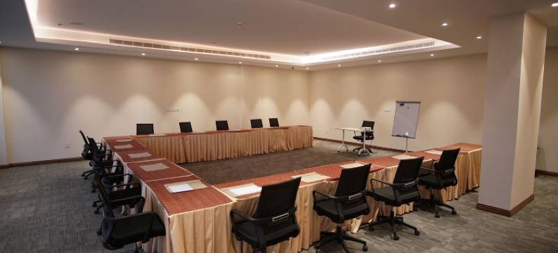 哈亚特利雅得瓦沙姆酒店(Hayat Al Riyadh Washam Hotel)图片