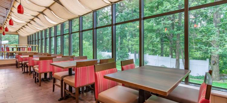 舒适酒店(Comfort Inn)图片