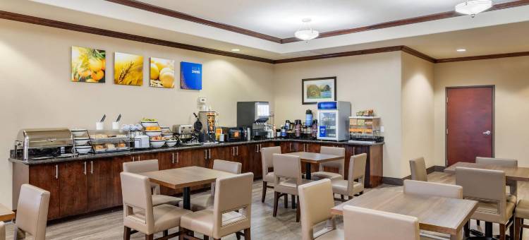 纳瓦索塔舒适套房酒店(Comfort Inn & Suites Navasota)图片