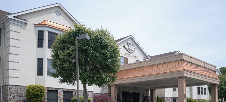 福克斯霍洛酒店(The Inn at Fox Hollow Hotel)图片
