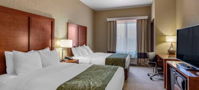 夏延舒适酒店(Comfort Inn & Suites)图片