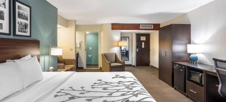 舒眠酒店-近宾夕法尼亚州立大学(Sleep Inn Near Penn State - State College, PA)图片