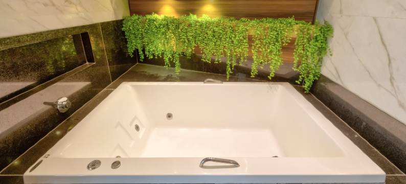 戈亚尼亚假日酒店(Holiday Inn GOIANIA by IHG)图片