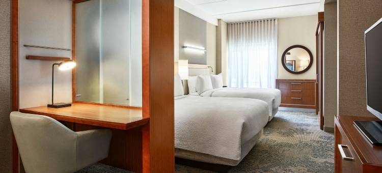 戴德伍德万豪SpringHill Suites 酒店(SpringHill Suites Deadwood)图片