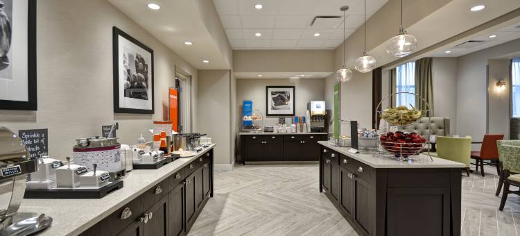 利沃尼亚底特律欢朋套房酒店(Hampton Inn  Livonia Detroit)图片