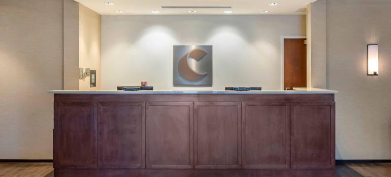 舒适套房酒店(Comfort Inn & Suites)图片