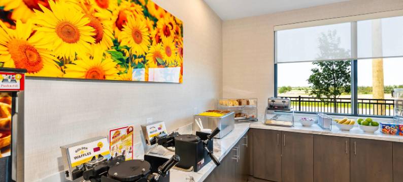 舒适酒店及套房(Comfort Inn  & Suites)图片