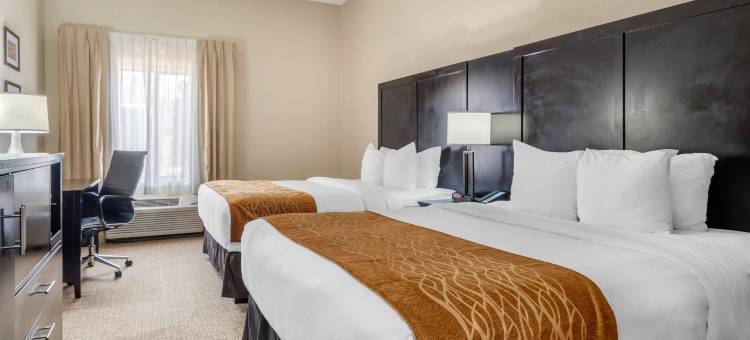 亚特兰大/斯麦纳舒适套房酒店(Comfort Inn & Suites Atlanta-Smyrna)图片