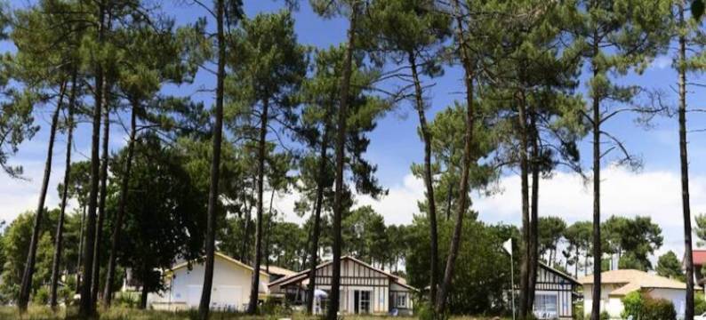 4 Room Villa 8/10 People图片