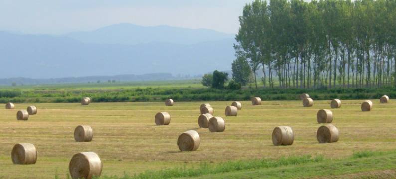 Sunlit home with pool图片