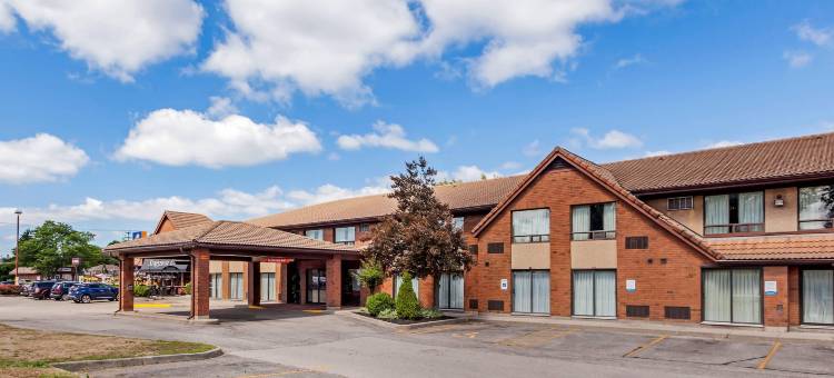 舒适酒店(Comfort Inn)图片