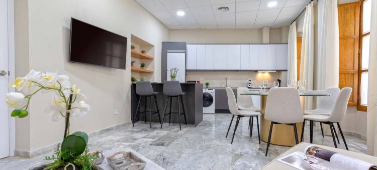科尔多瓦滕迪利亚斯广场独享公寓II(Exclusive Apt in Cordoba. Plaza de las Tendillas II)图片