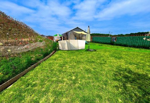 Dangjin Dogpelis Glamping Hotel Overview