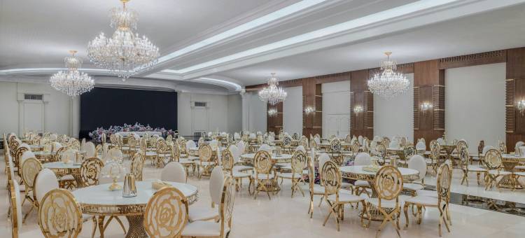 麦地那艾美酒店(Le Méridien Medina)图片