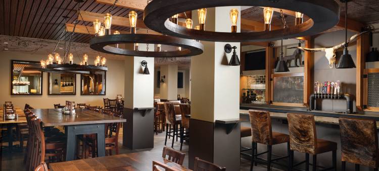 拉斯科琳娜希尔顿花园酒店(Hilton Garden Inn Las Colinas)图片