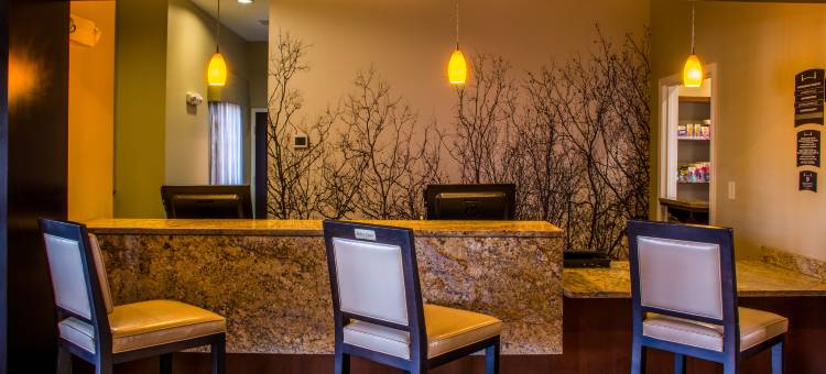 Staybridge Suites Schererville图片