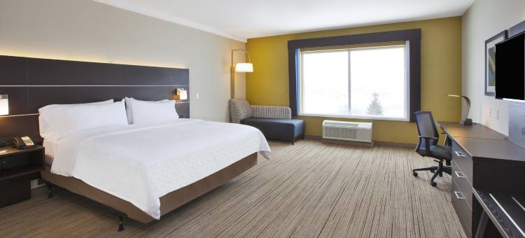 Holiday Inn Express & Suites Auburn Hills South图片