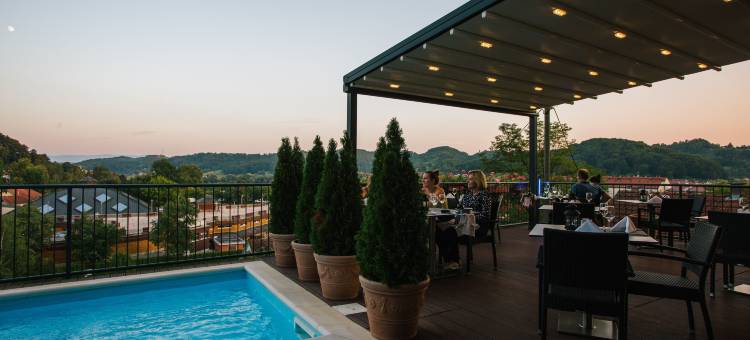 马格达莱纳别墅疗养酒店(Wellness Hotel Villa Magdalena)图片