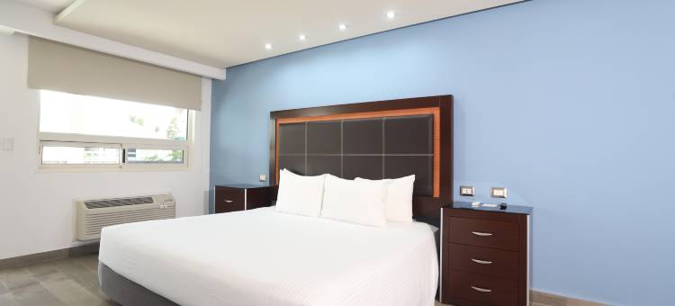 昆塔多拉达酒店&套房(Quinta Dorada Hotel & Suites)图片