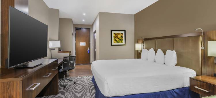 威利斯顿贝斯特韦斯特优质套房酒店(Best Western Plus Williston Hotel  Suites)图片