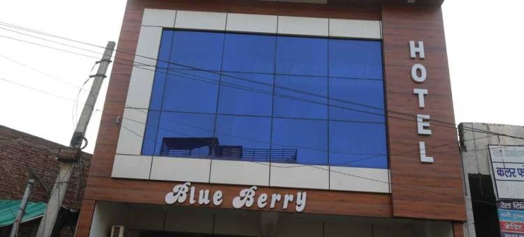 阿格拉蓝莓酒店(Hotel Blue Berry Agra)图片
