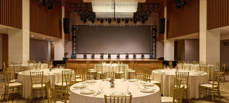 威斯汀法拉盛拉瓜迪亚机场酒店(The Westin Flushing LaGuardia Airport)图片