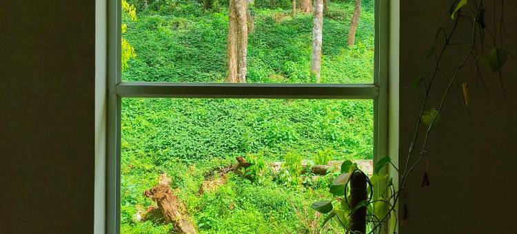 Navut Homestay Coorg图片