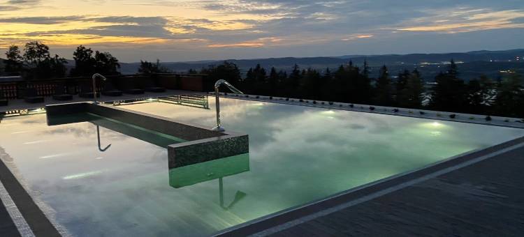 Hotel Seidorf Luxury Wellness & Spa图片