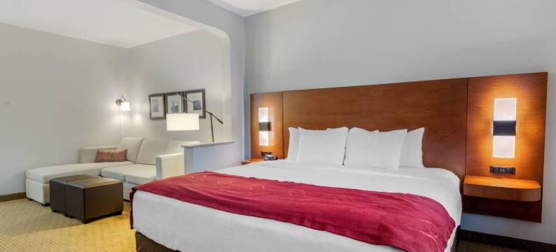 拉波特舒适套房 - 贝敦(Comfort Suites la Porte - Baytown)图片